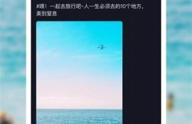 抖音VIP版iOS下载途径分享，畅享超多独家功能
