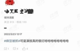 2020年麻豆传媒最新作品回顾：热门影片与精彩瞬间盘点
