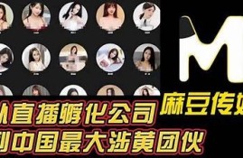 麻豆传媒与神马影视：探秘最新热门影视作品与平台优势