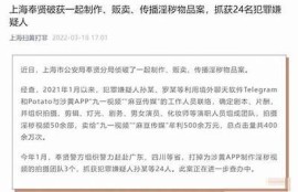 麻豆传媒如何快速进入市场，打造成功品牌秘籍