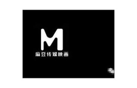 麻豆文化传媒公司简介与发展历程解析