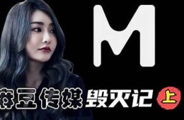 麻豆传媒有限公司：引领数字内容创新与娱乐产业的先锋企业