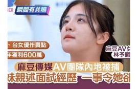 麻豆传媒0078：探索新视角的视觉盛宴