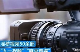 麻豆传媒映画APP是否安全？揭秘其潜在风险与使用注意事项
