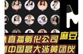 麻豆传媒md0092精彩片段分享：青春热血的视觉盛宴