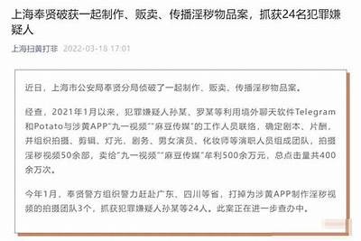 麻豆传媒如何快速进入市场，打造成功品牌秘籍