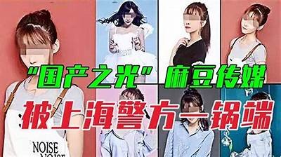 探秘麻豆国产传媒：百度网盘资源分享与使用技巧