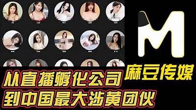 麻豆传媒电影安卓平台最新上线推荐与使用指南