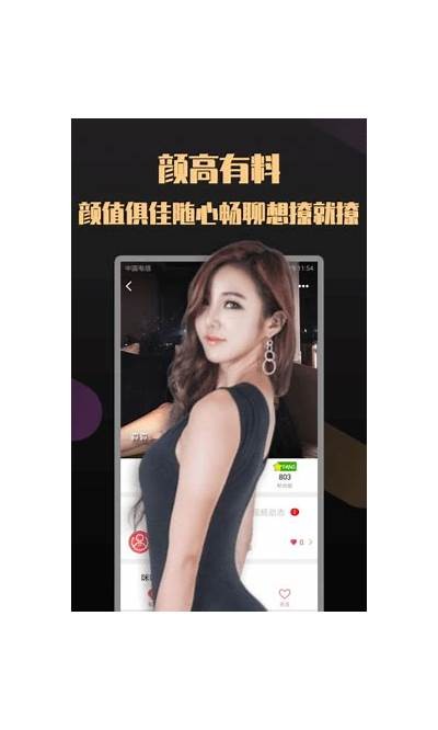 抖阴破解版无法使用的背景与解决方法解析