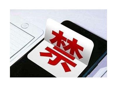 麻豆传媒系列管家：全方位带你了解新鲜内容与优质服务