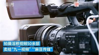 麻豆传媒视频资源获取途径，详解如何找到优质内容