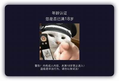 揭秘抖阴与抖音的不同之处，为什么抖阴热度持续攀升？