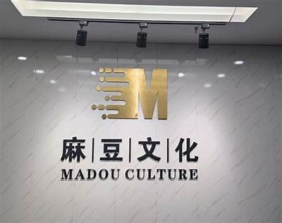 麻豆传媒印画官方平台：探索创意与艺术的完美结合