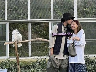 麻豆视传媒老狼：揭秘背后故事与行业未来发展动向