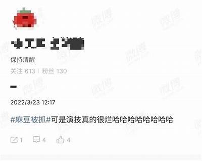 麻豆文化影视传媒：全方位打造影视精品，助力文化传播与创意发展