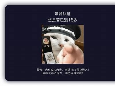 探秘抖阴：抖音的另类玩法与内容创作技巧