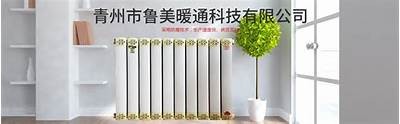 打造影视新视野：麻豆印映传媒引领创意潮流，助力影视梦想达成