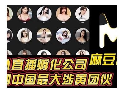 推荐几款可以观看麻豆传媒内容的播放器